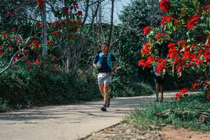 BIB: 
                            <button type="button" onclick="openModal(26138888)" class="btn btn-primary btn-sm float-right btn-popup" data-toggle="modal" data-target=".modal-high-quality">
                        <i class="fas fa-shopping-cart"></i> Add to Cart
                    </button>
                                            <button type="button" onclick="isThisMe(26138888, true)" class="btn btn-success btn-sm float-right btn-popup btn-isme hidden" data-toggle="tooltip" data-placement="bottom" title="นี่คือรูปของคุณใช่ไหม คลิกที่นี่เพื่อเอาเข้าอัลบั้ม">
                        <i class="fas fa-plus"></i> Add to album
                    </button>
                    <button type="button" onclick="isThisMe(26138888, false)" class="btn btn-warning btn-sm float-right btn-popup btn-isnotme hidden">
                        <i class="fas fa-ban"></i> Remove from album
                    </button>